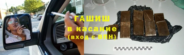 прущие грибы Надым
