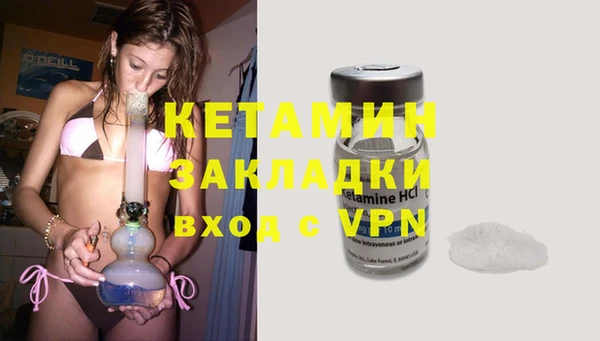 прущие грибы Надым