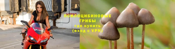 ешки Навашино