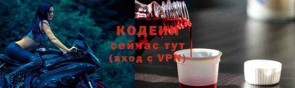 прущие грибы Надым