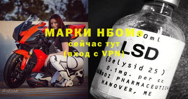 прущие грибы Надым
