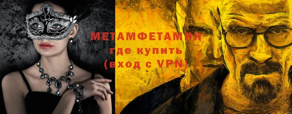 прущие грибы Надым