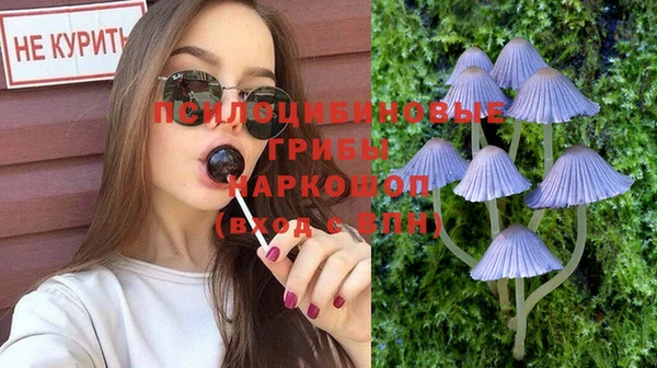 ПСИЛОЦИБИНОВЫЕ ГРИБЫ Богородск