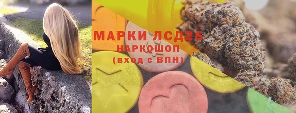 прущие грибы Надым