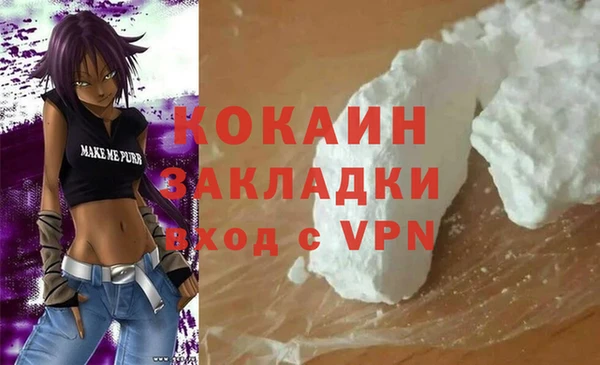 прущие грибы Надым