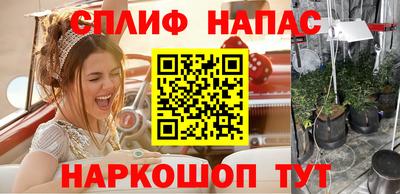 Альфа ПВП Канаш