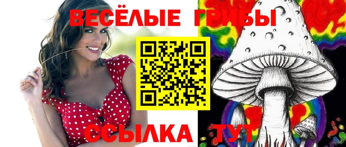 Галлюциногенные грибы MAGIC MUSHROOMS  Вход с VPN  Нефтекамск 