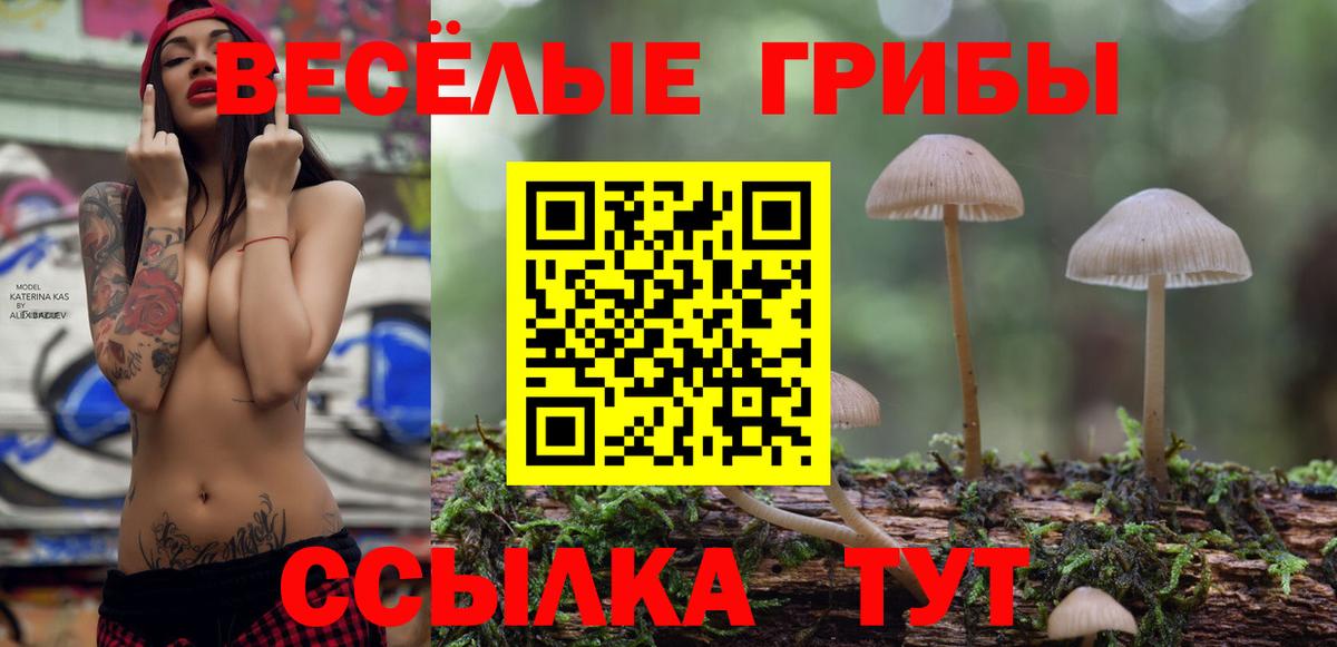 Галлюциногенные грибы Magic Shrooms Нефтекамск